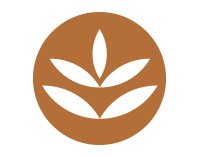 Gestionale 360 Logo